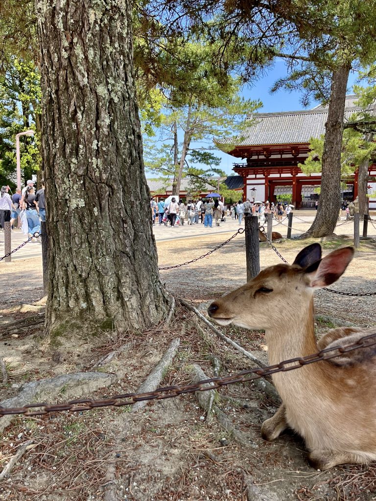 Nara